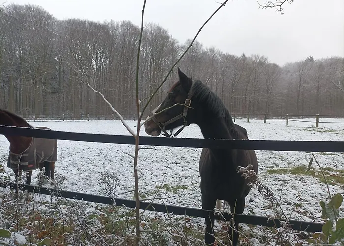 Schmeder-heide * Hatten